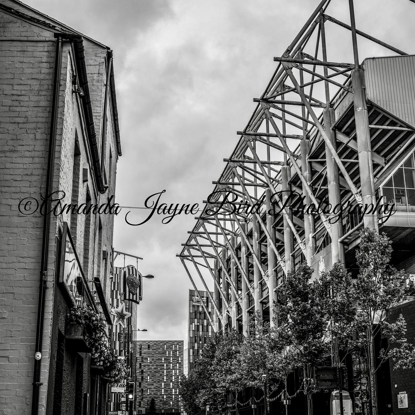 St James’ Park (B&W)