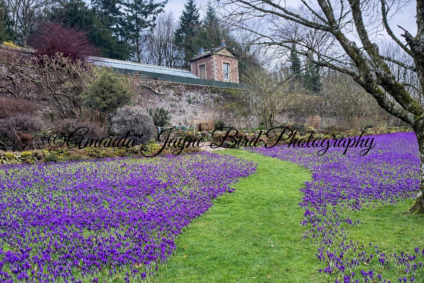 Wallington Hall walled garden, Northumberland