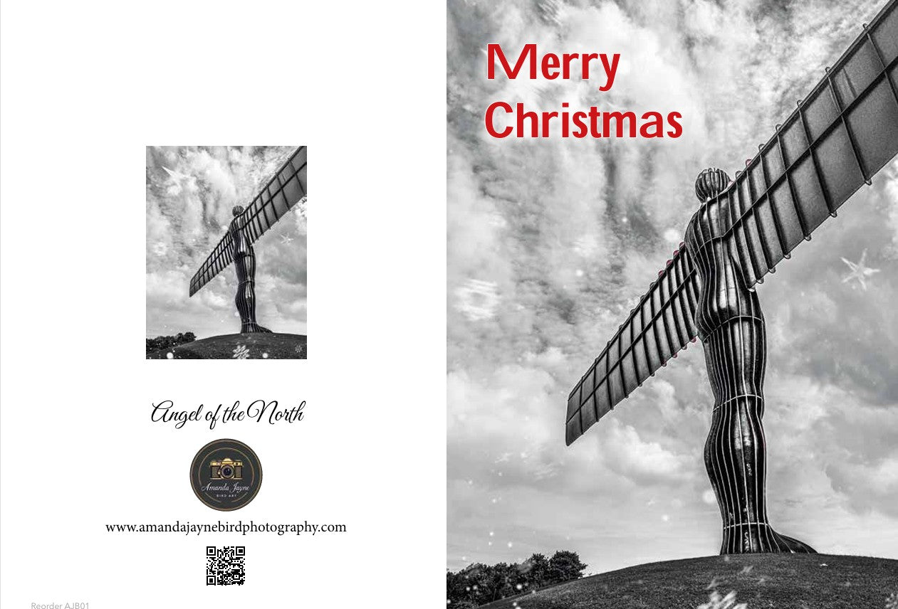 2025 Christmas Cards