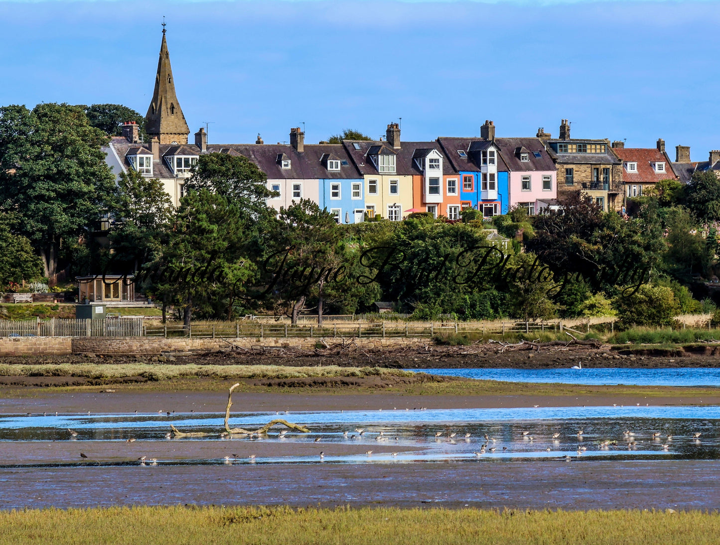 View of Alnmouth Coloured Houses 2