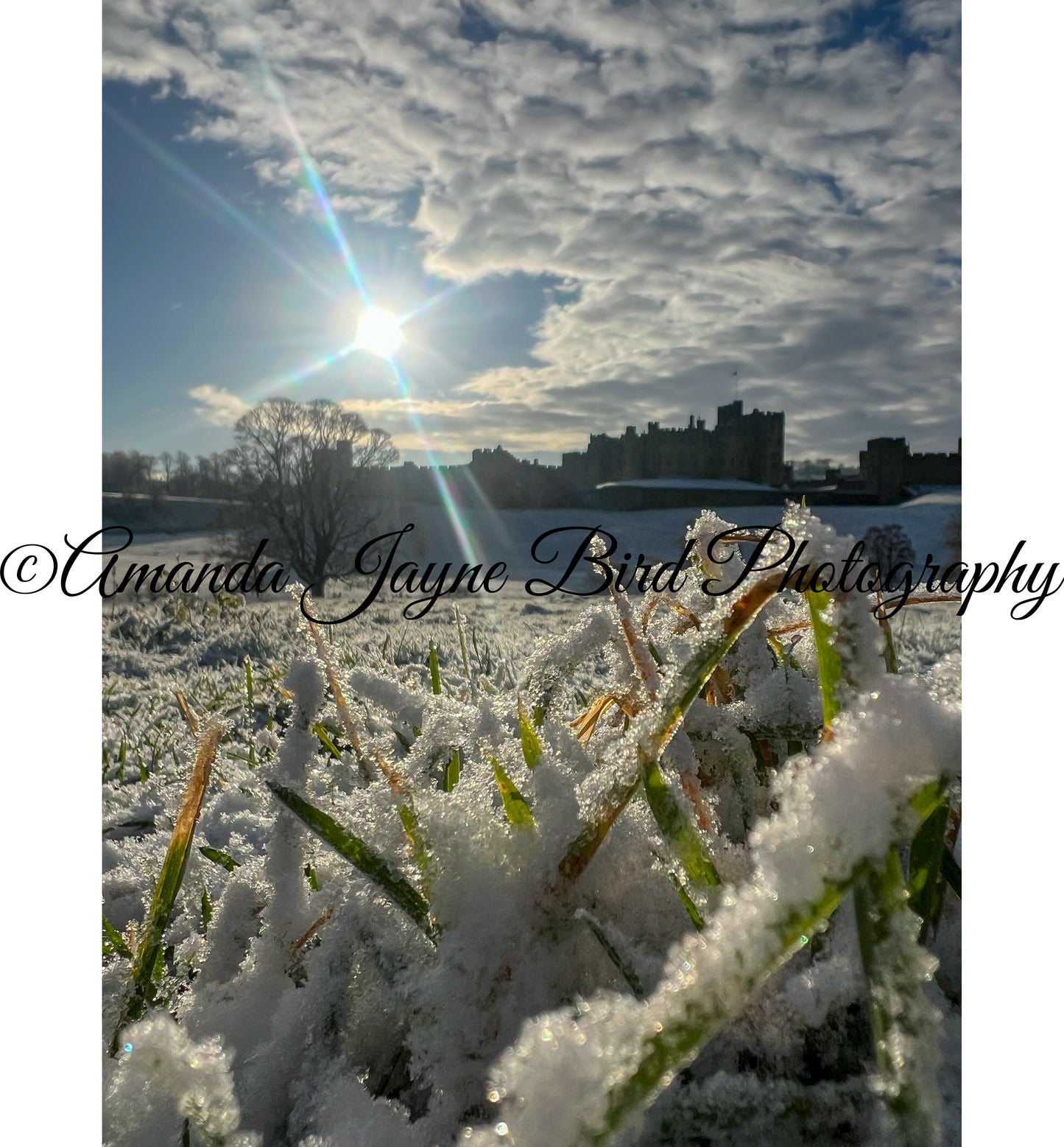 Alnwick Castle Sunrise - The frost has come (colour)