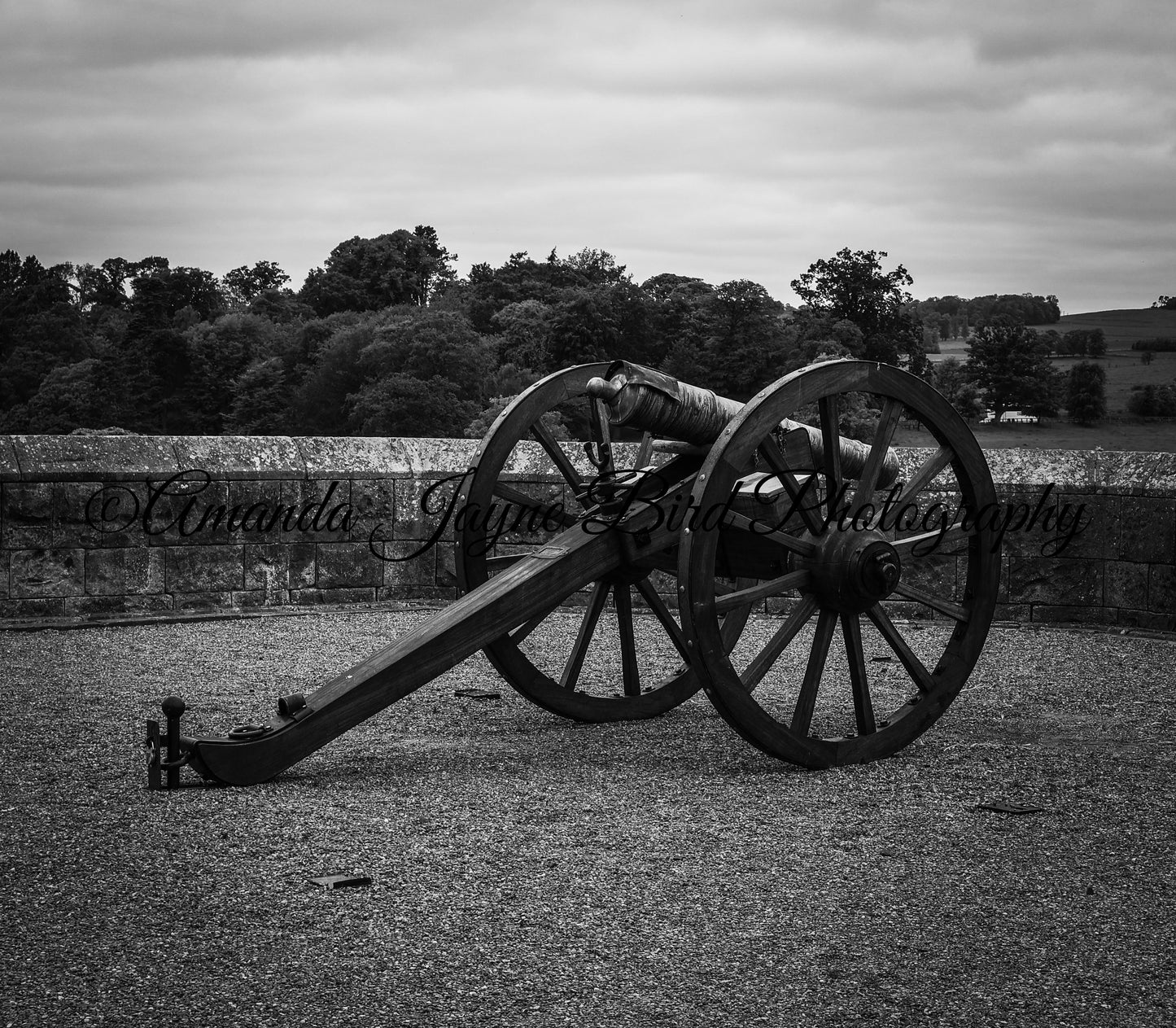 Alnwick Castle (B&W)