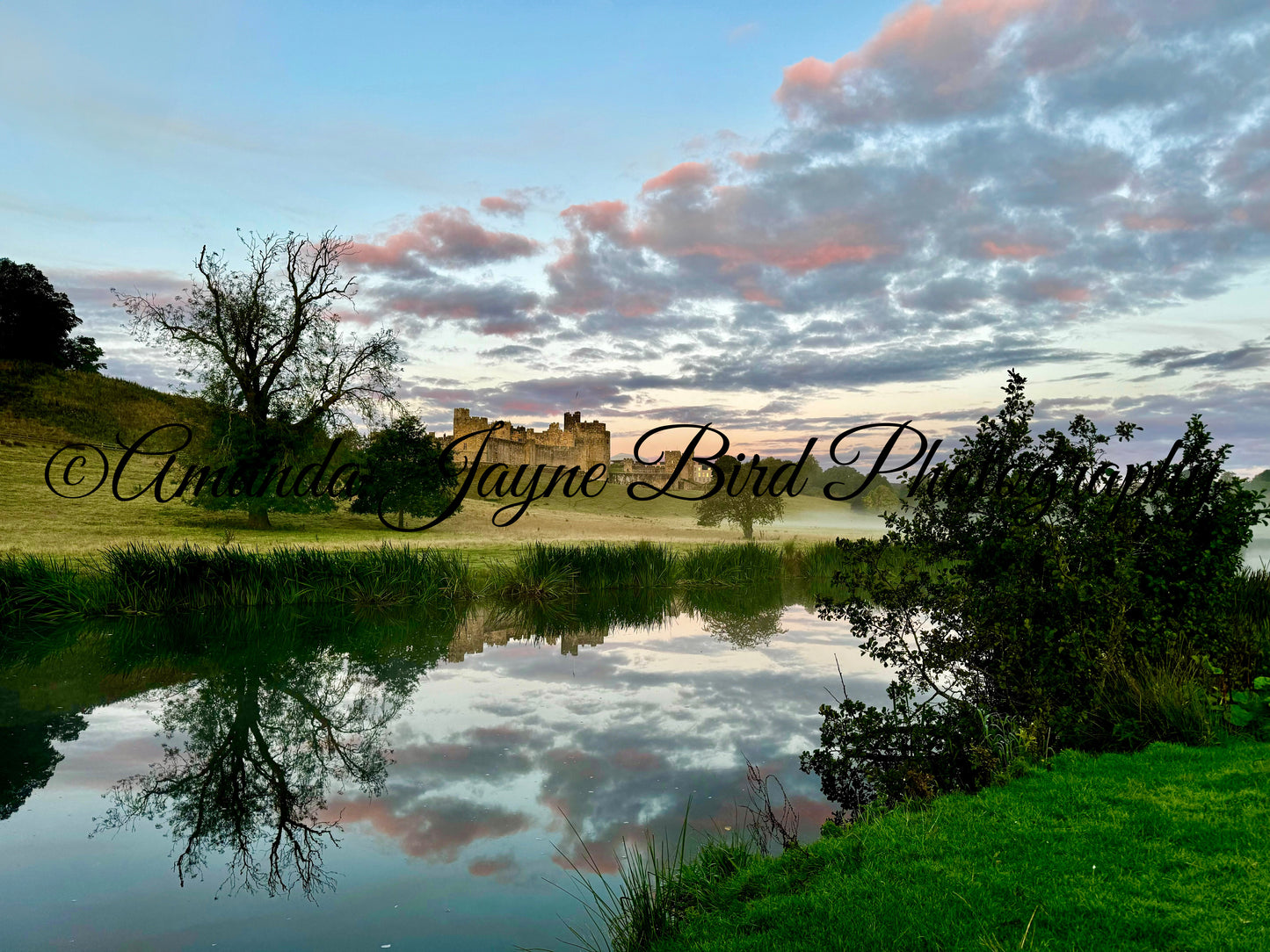 Alnwick Castle - Pink & Blue sunrise