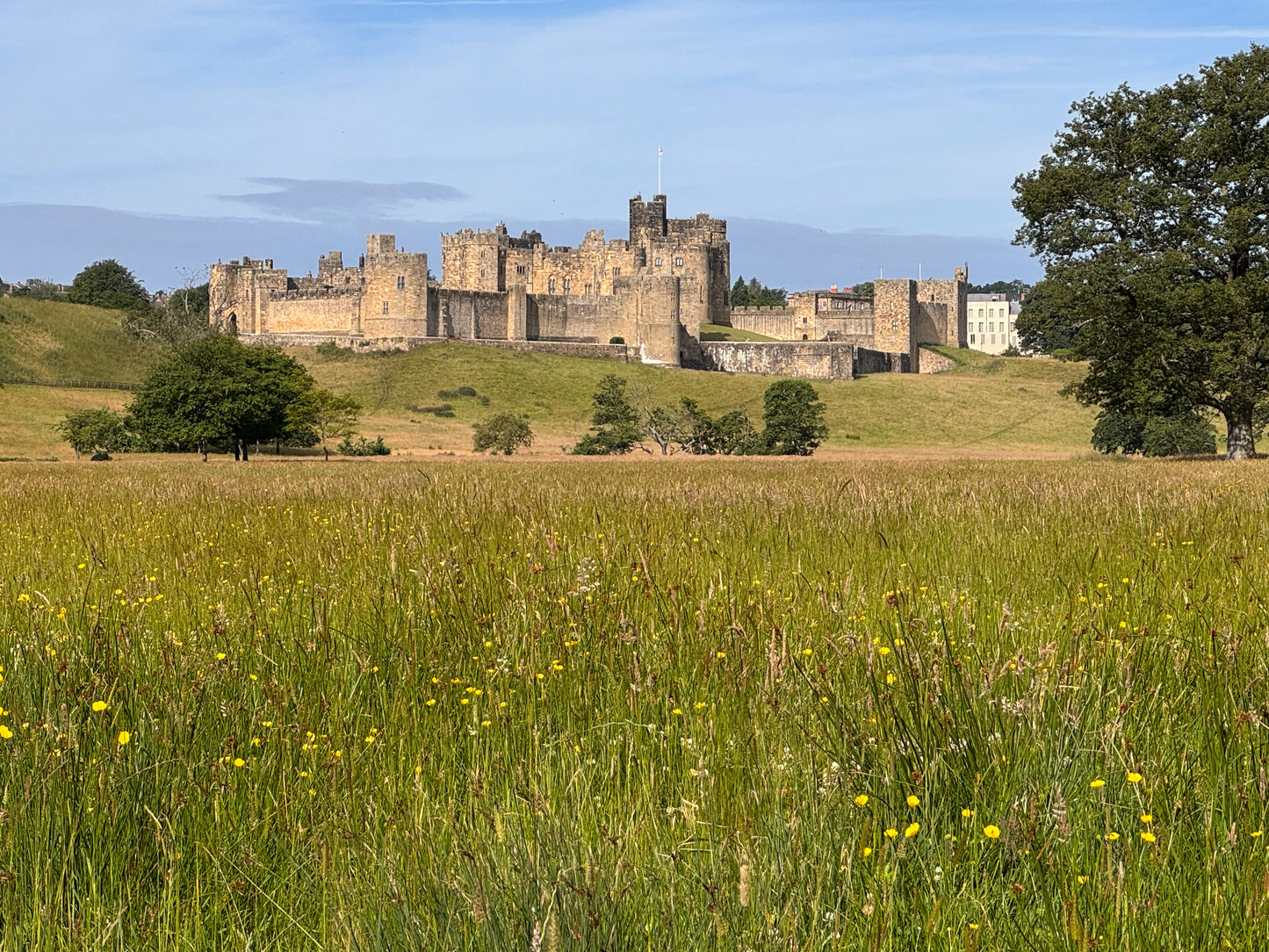 Alnwick Castle - Summer Sun