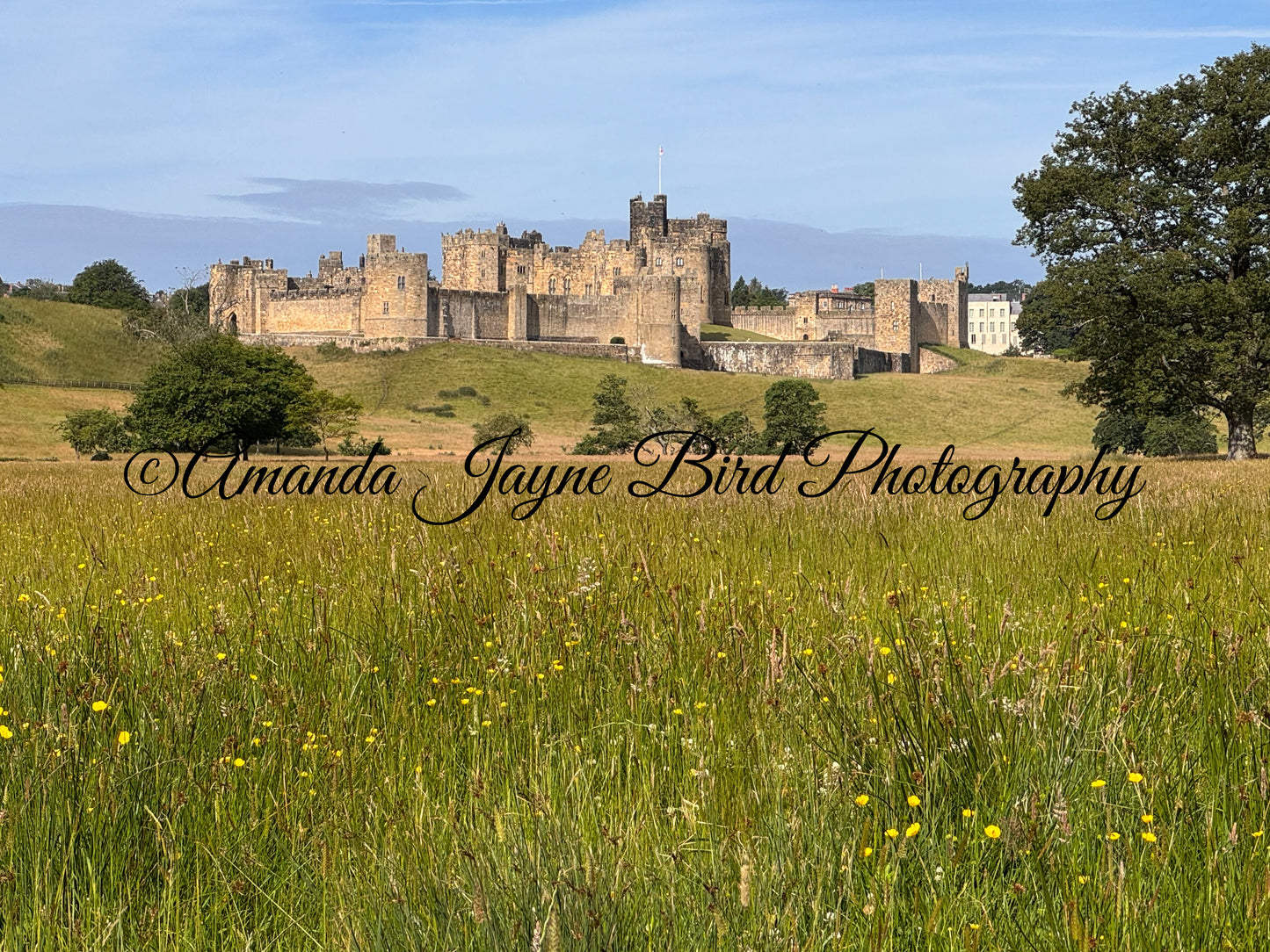 Alnwick Castle - Summer Sun 1