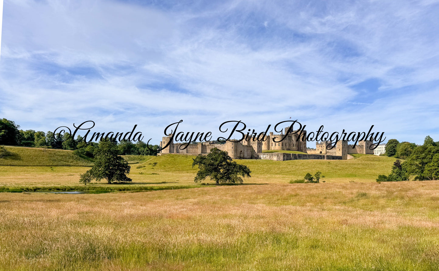 Alnwick Castle, Fields of gold
