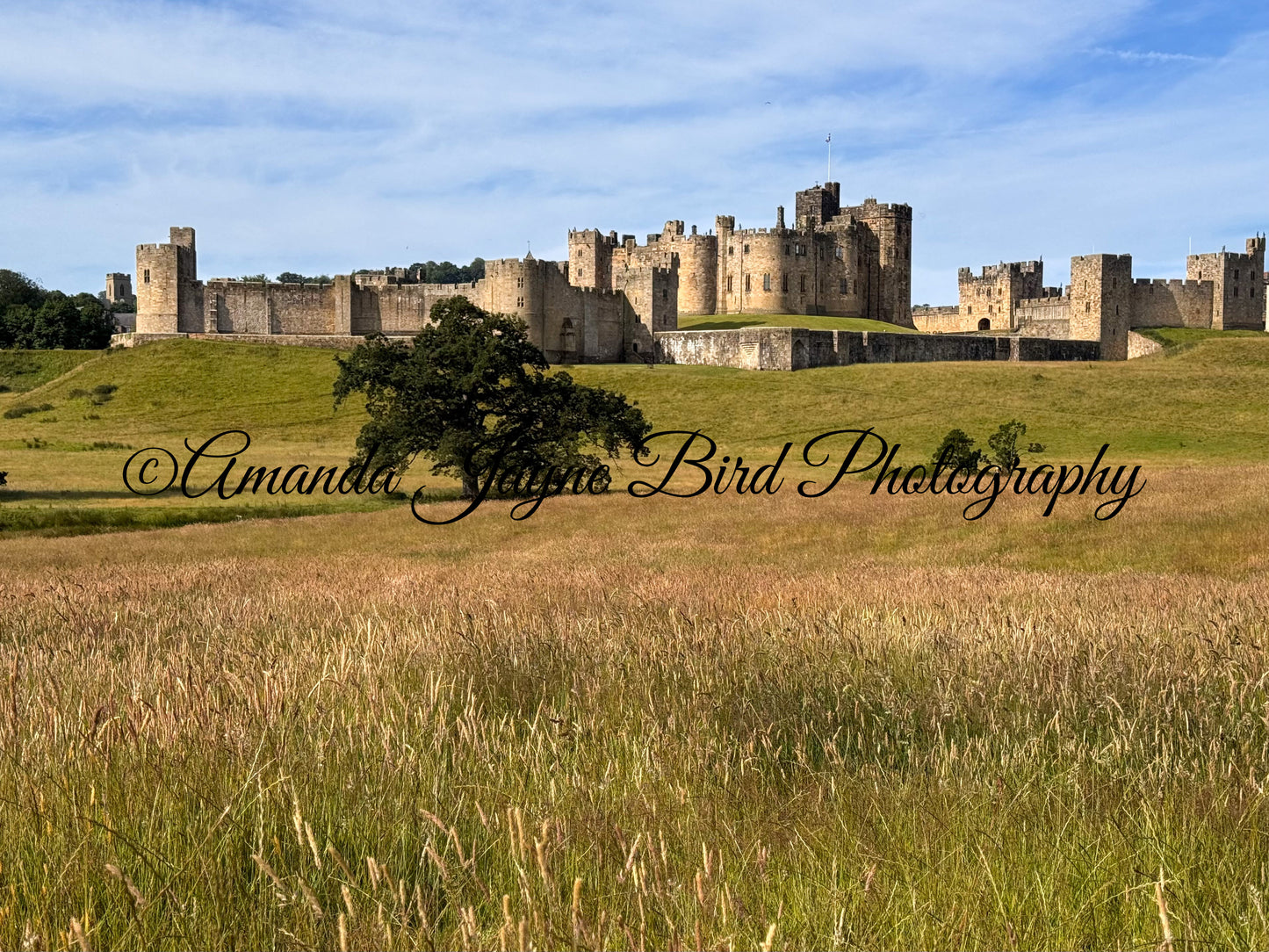 Alnwick Castle