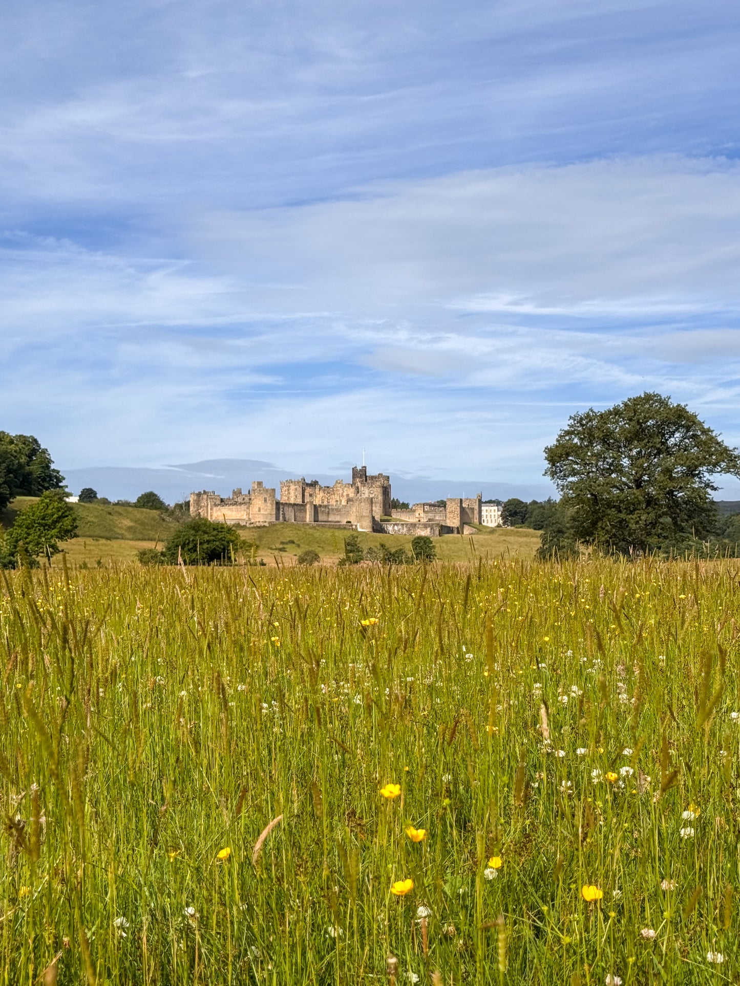 Alnwick Castle - Summer Sun