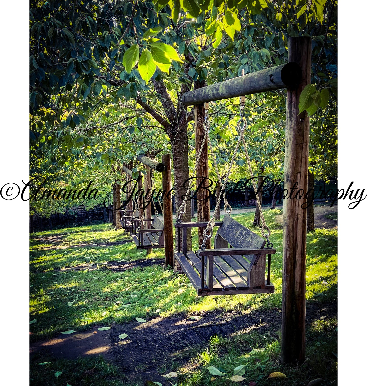 Alnwick Garden - Swings V2