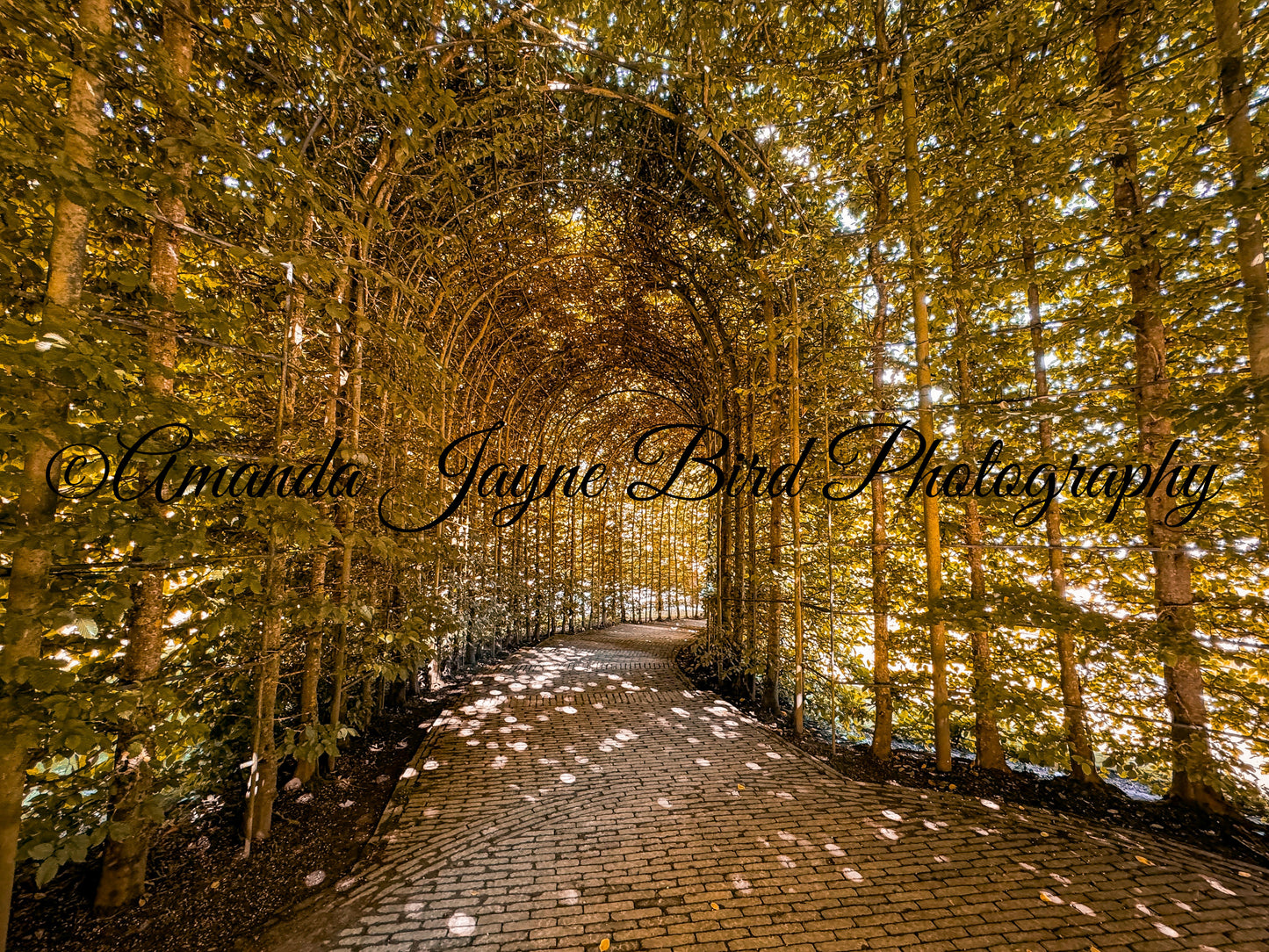 Alnwick Garden - Colour