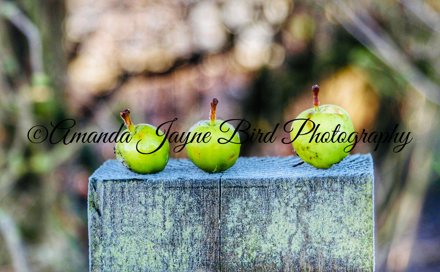 Apples falling