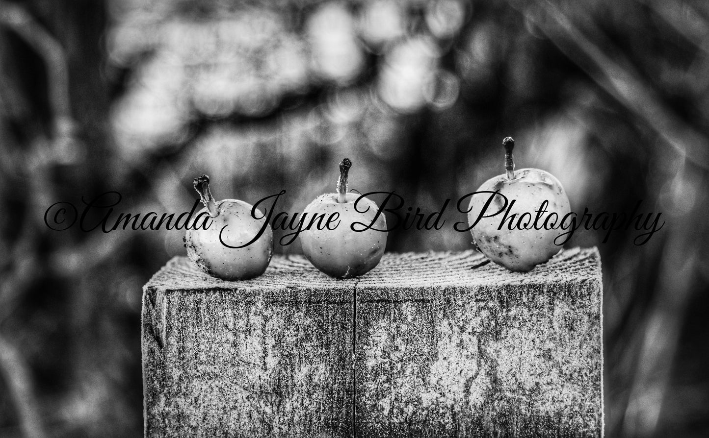 Apples falling (B&W)
