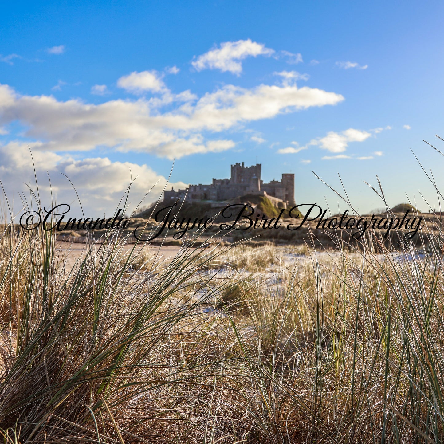 Bamburgh Castle - Veiw from the dunes