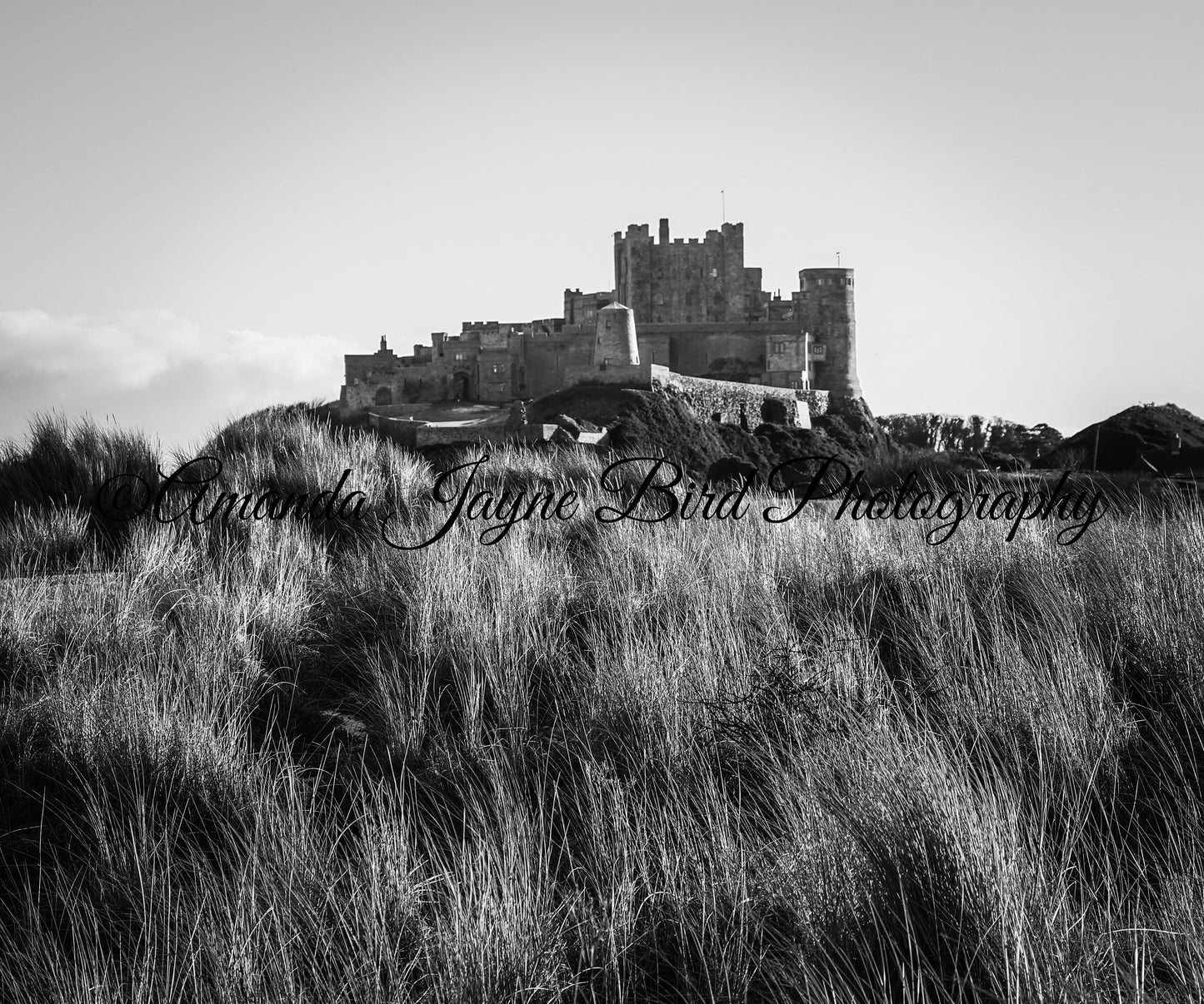 Bamburgh Castle - View from the dunes (B&W)