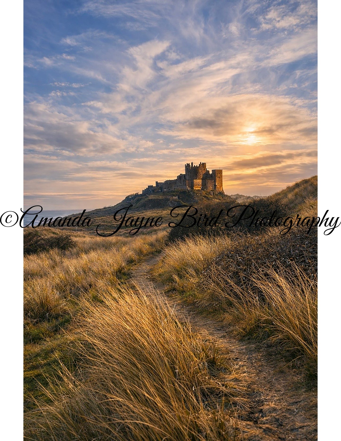 Bamburgh Castle