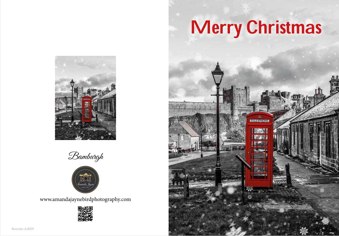 2025 Christmas Cards