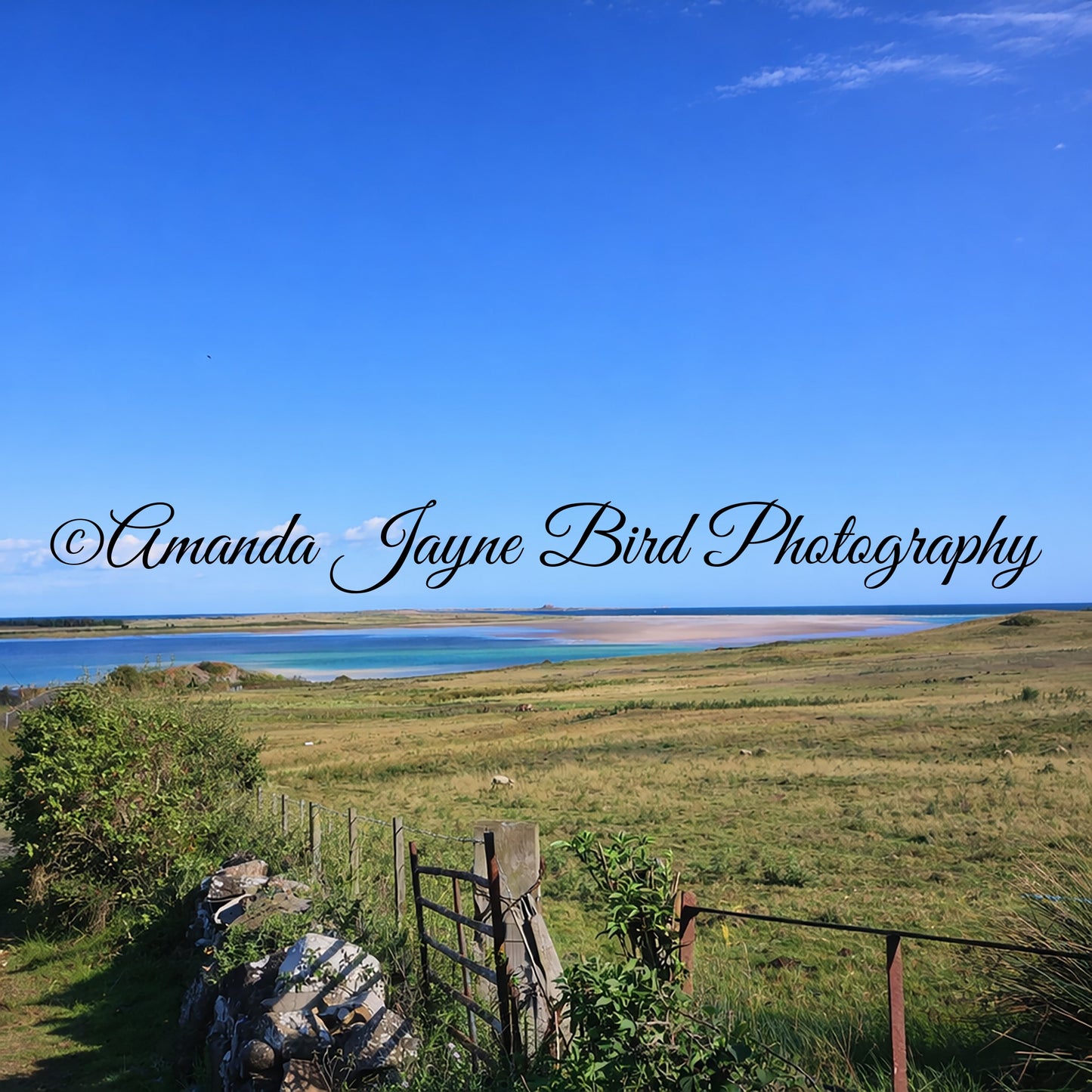 Budle Bay, Northumberland