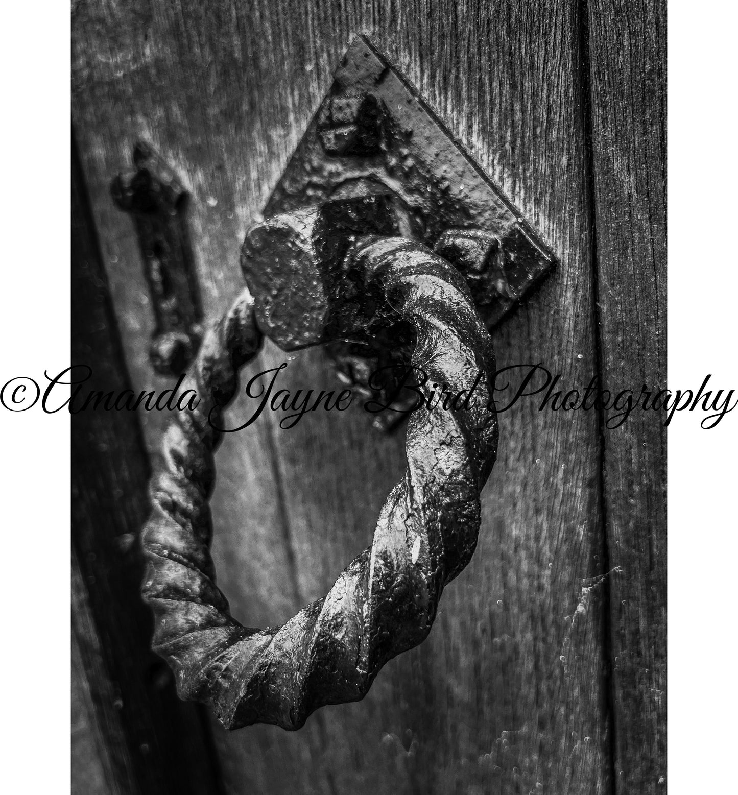 Alnwick Castle Door Knocker