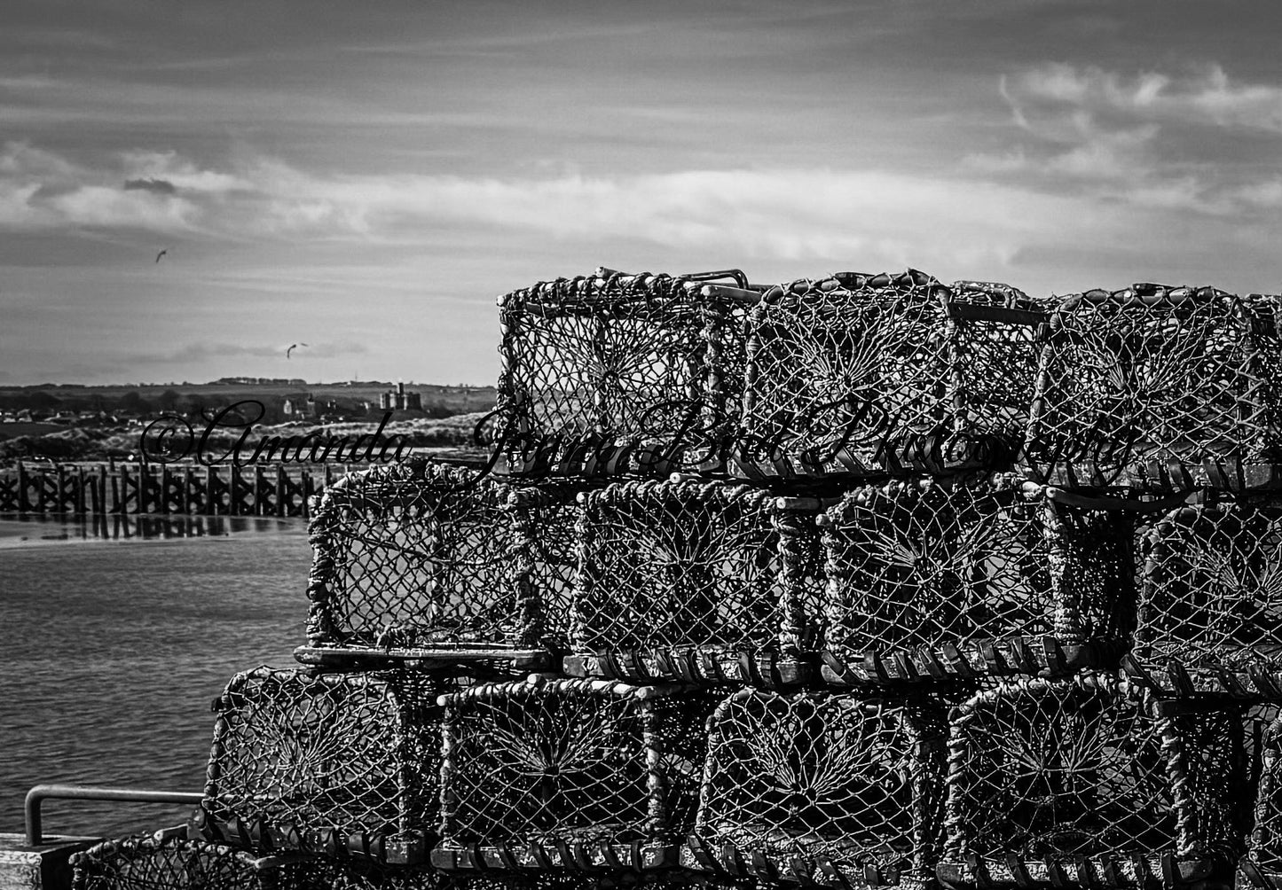 Lobster Pots, Amble Pier (B&W)