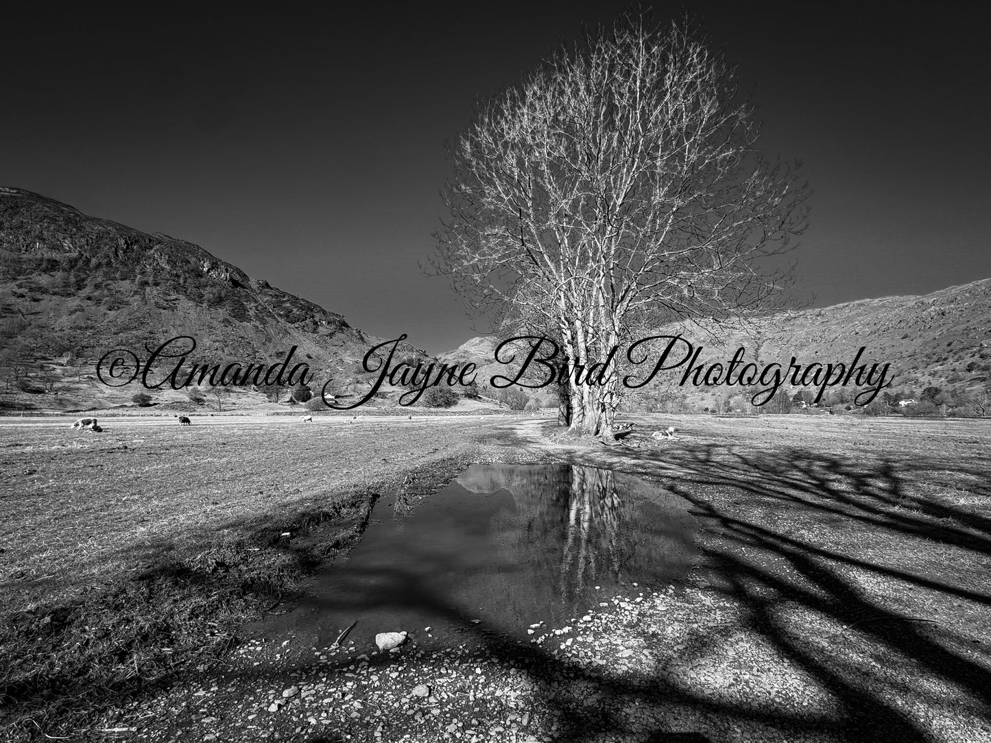 Great Langdale (B&W)