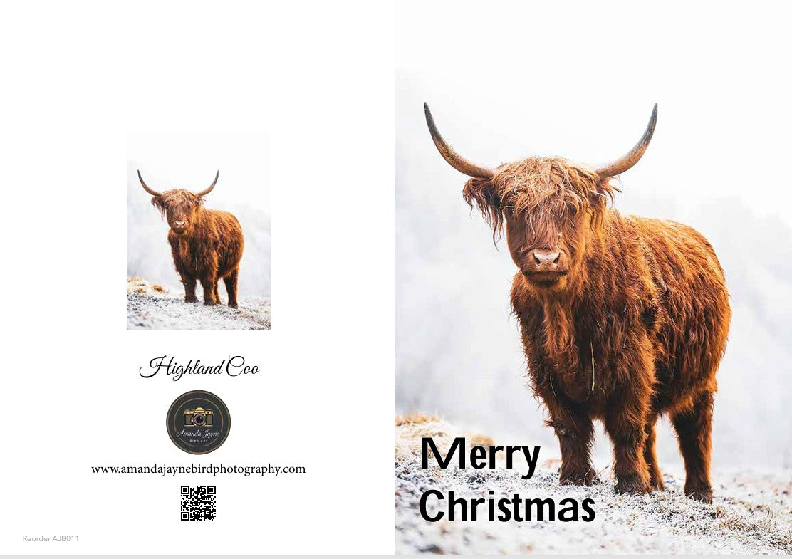 2025 Christmas Cards