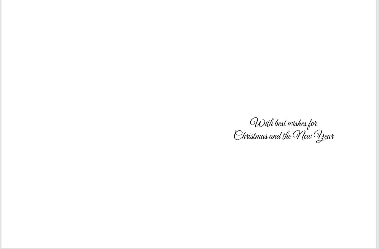 2025 Christmas Cards