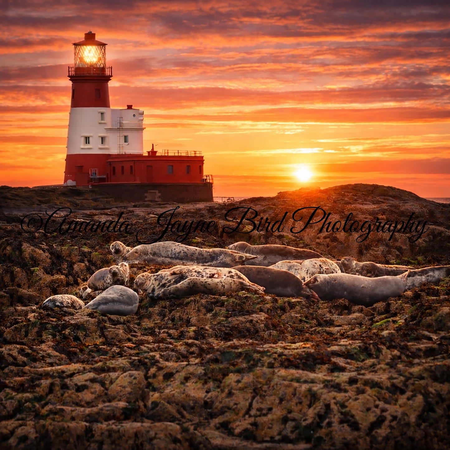 Longstone Light House - Sunset