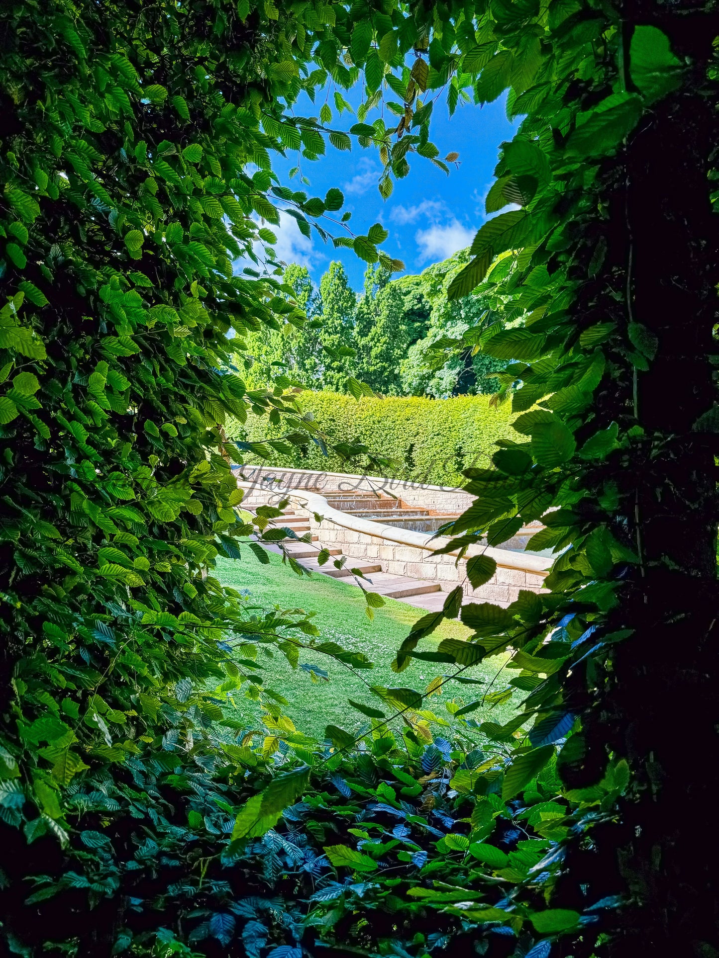 Alnwick Garden -Peek-a-boo