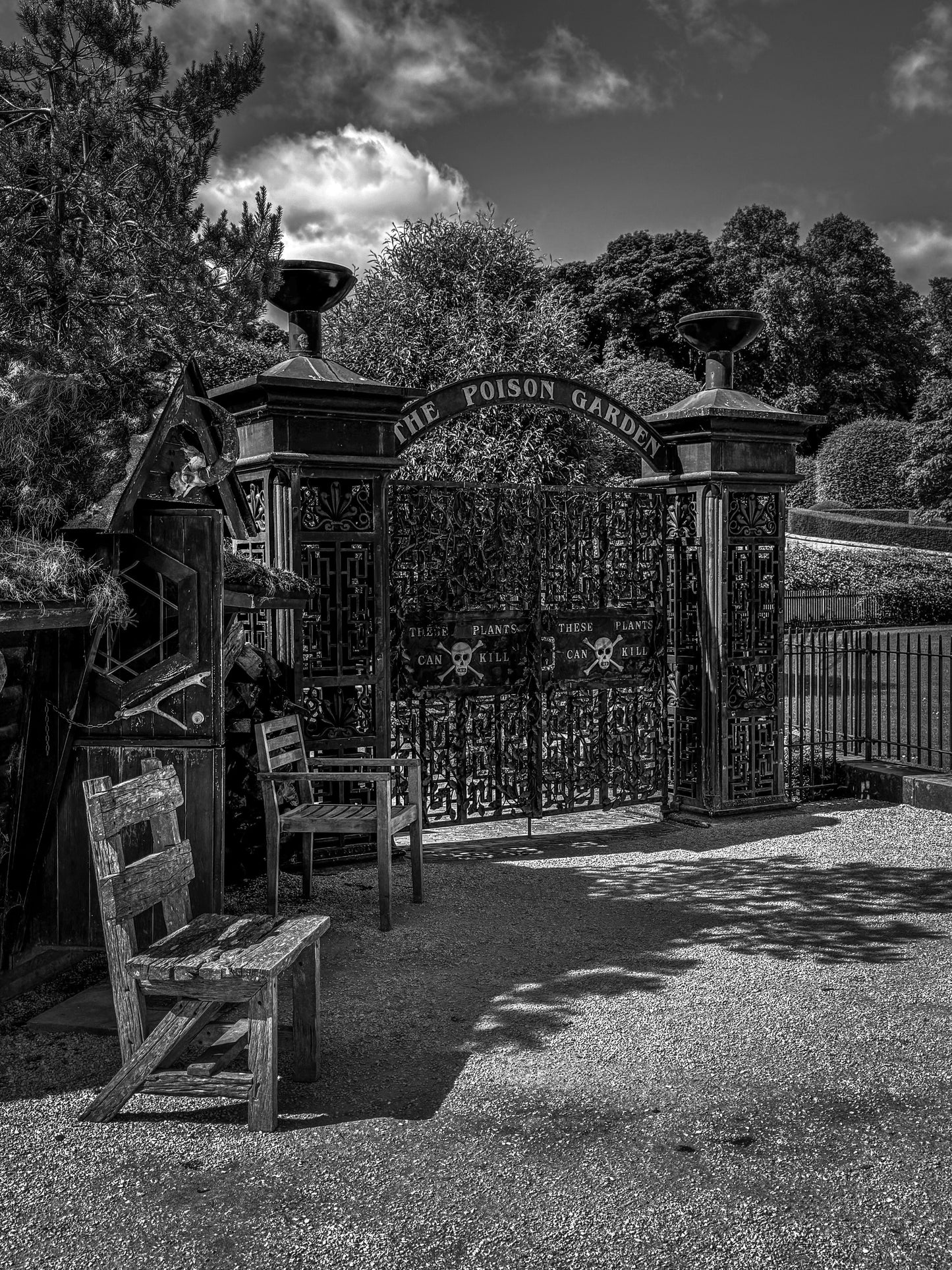Poison Garden, Alnwick Garden (B&W)