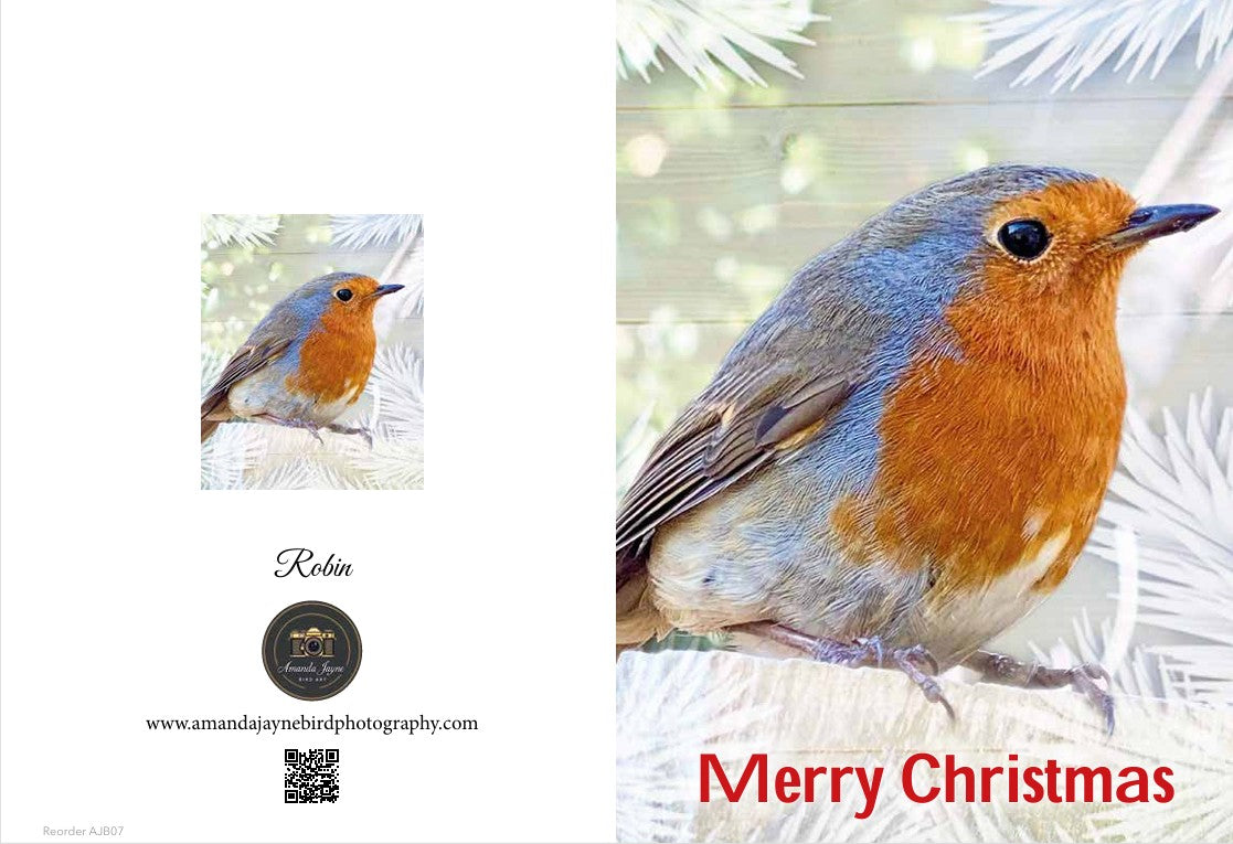 2025 Christmas Cards
