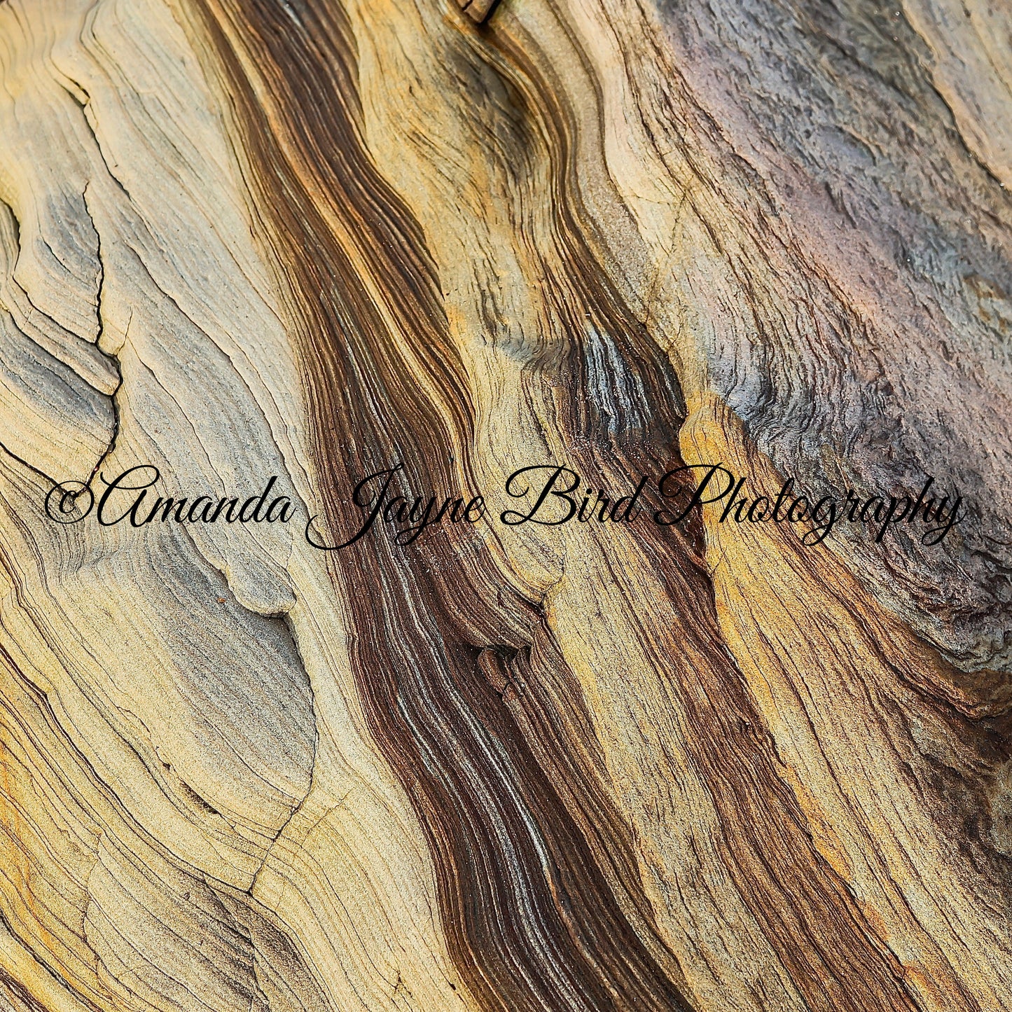 Spittal Beach, Berwick-upon-Tweed 3