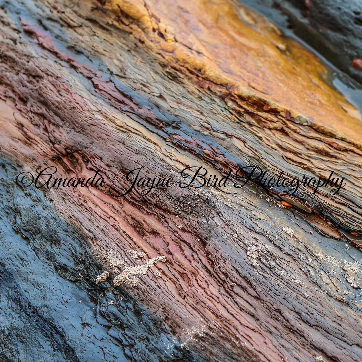 Spittal Beach, Berwick-upon-Tweed 4