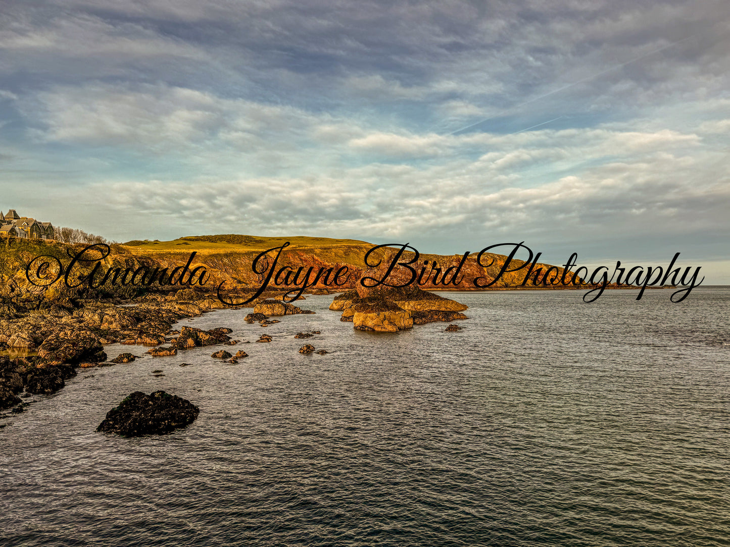 At Abbs, Scotland