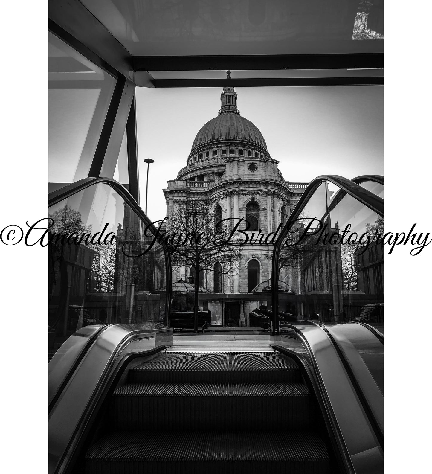 St Pauls Cathedral, London (B&W)