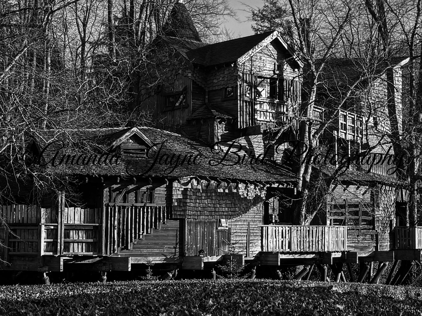 The Treehouse Restaurant, Alnwick Garden (B&W)
