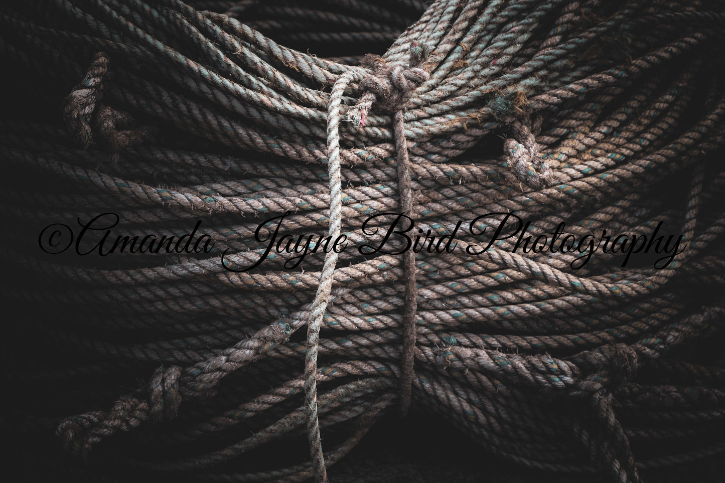 Fisherman's Rope, Amble (B&W)