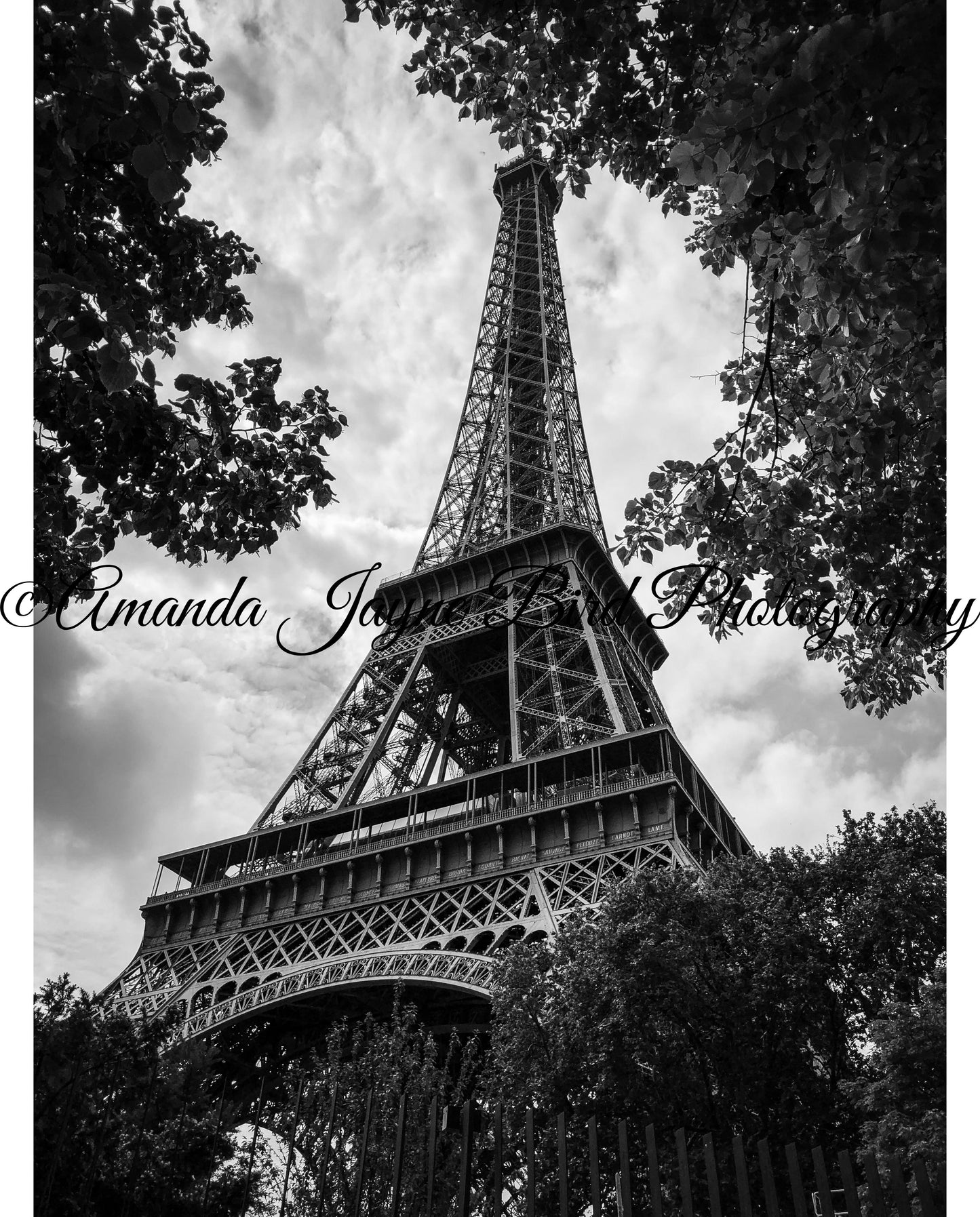 Eiffel Tower, Paris (B&W)