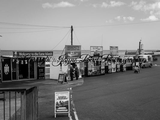 Seahouses, Northumberland (B&W)