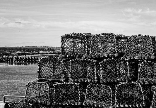 Lobster Pots, Amble Pier B&W