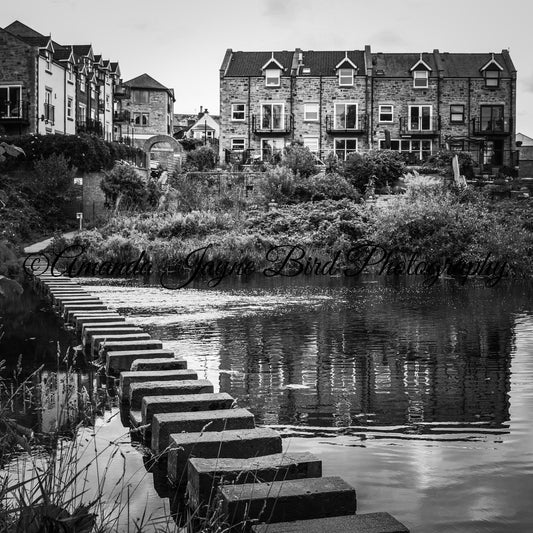 Stepping Stones, Morpeth (B&W)