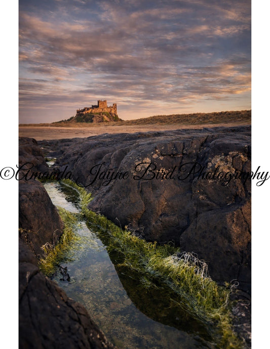 Bamburgh Castle