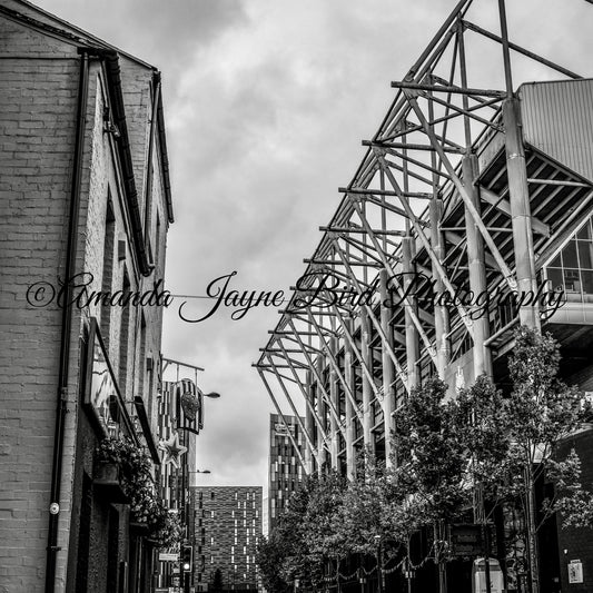 St James’ Park (B&W)