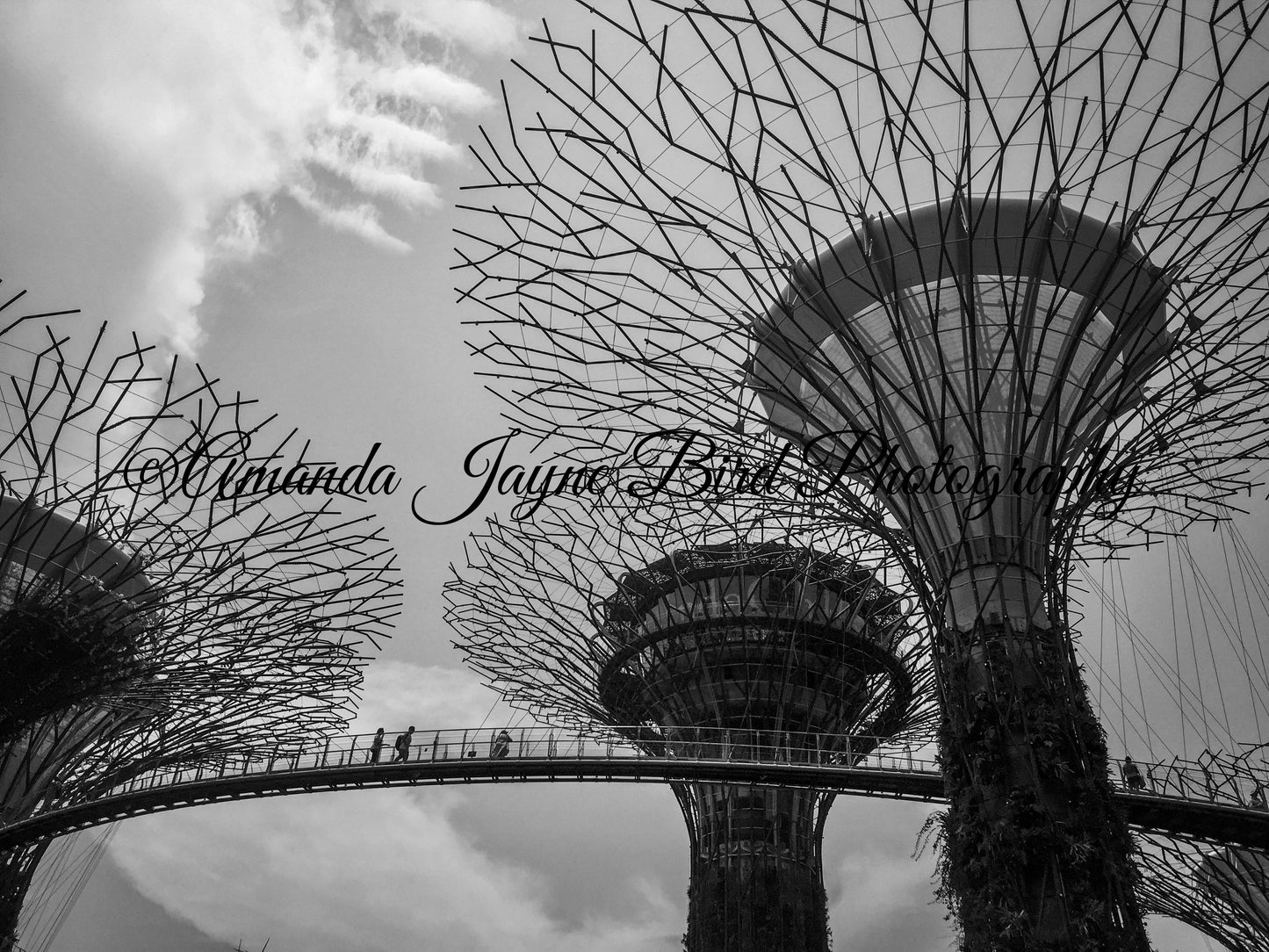 Gardens by the Bay, Singapore (B&W)