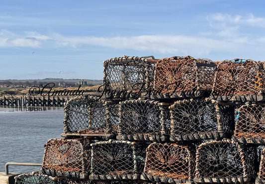 Lobster Pots, Amble Pier