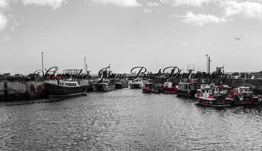 Seahouses, Northumberland (B&W)