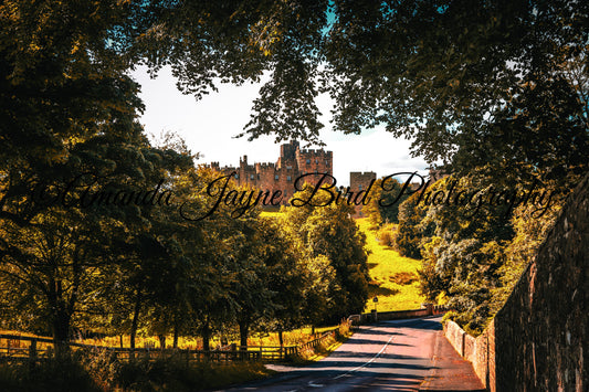 Alnwick Castle