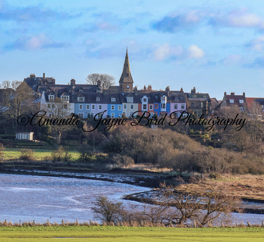 View of Alnmouth Coloured Houses