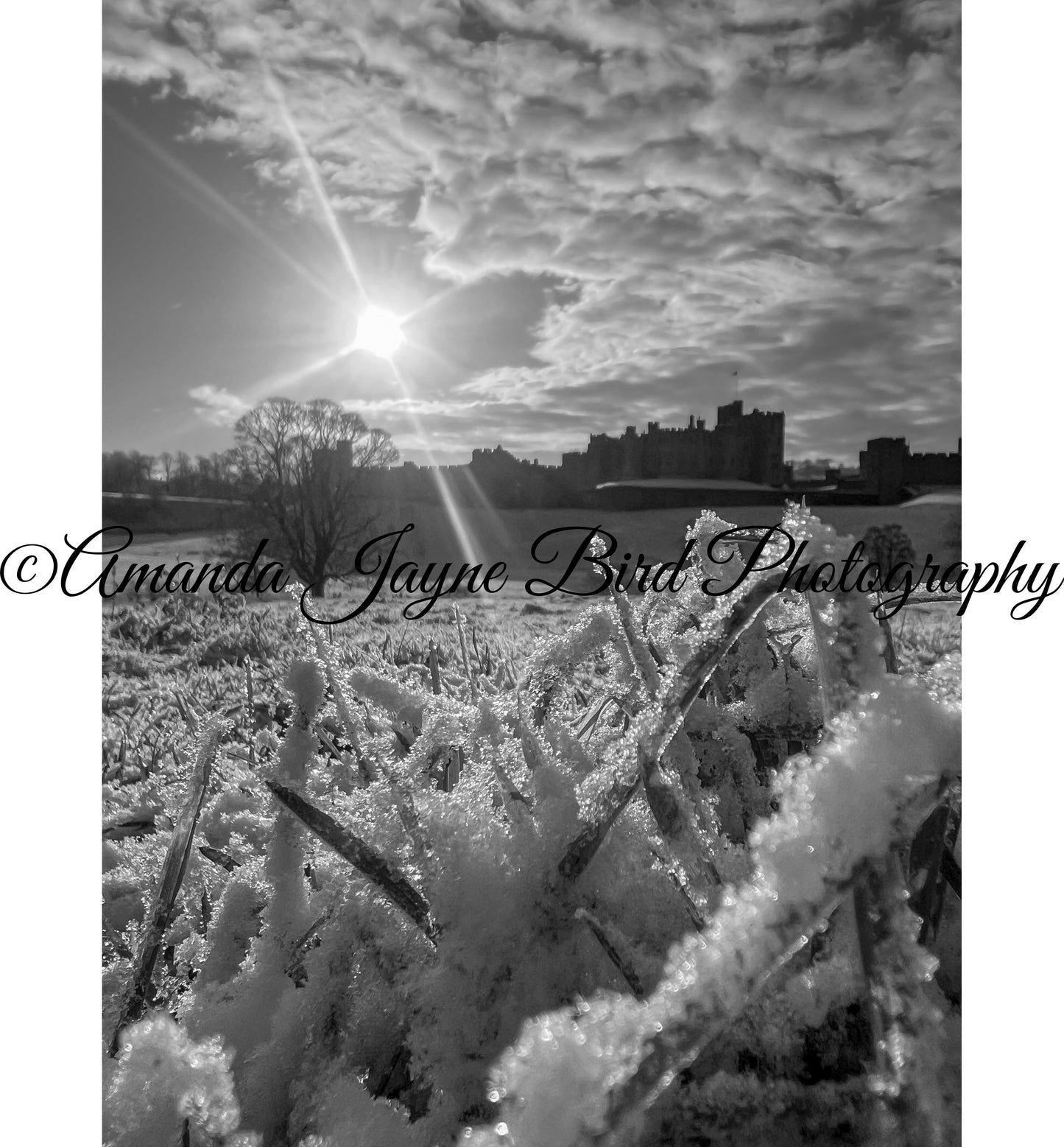 Alnwick Castle Sunrise - The frost has come