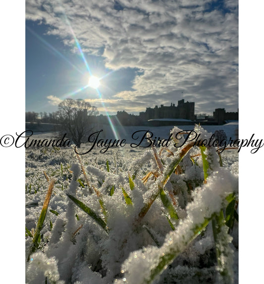 Alnwick Castle Sunrise - The frost has come (colour)
