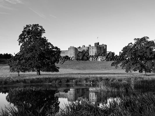 Alnwick Castle B&W - Reflection, September 2024